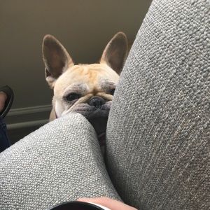 Meet your Posher, Jay